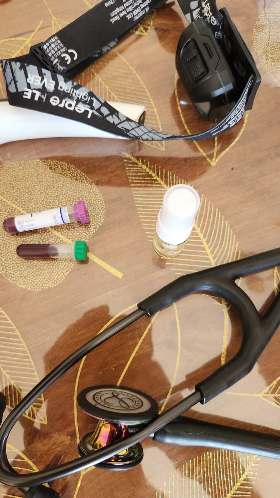 Dr. Fanny Maaroufi, vétérinaire à domicile, en intervention pour une injection de médicaments dans la ville de Saint-Avold